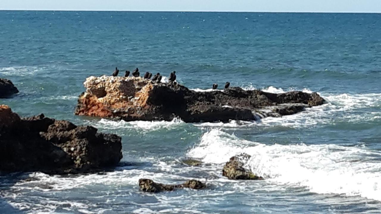דניה Precioso Apart Sur Y Norte Cerca Playa Y Centro - Cascadas De La Marina מראה חיצוני תמונה