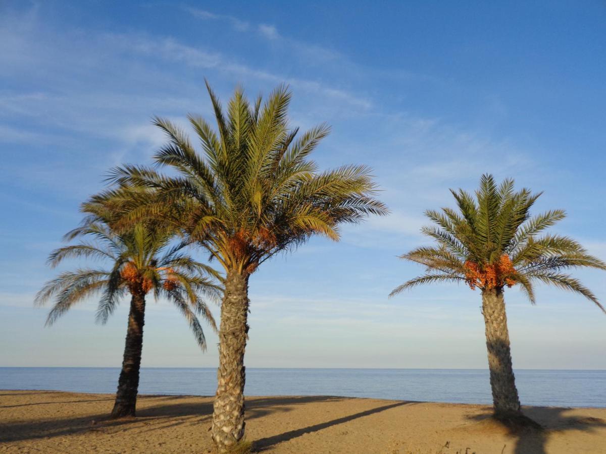 דניה Precioso Apart Sur Y Norte Cerca Playa Y Centro - Cascadas De La Marina מראה חיצוני תמונה